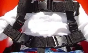 ADA Swing Seat Harness