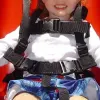 ADA Swing Seat Harness thumbnail 1