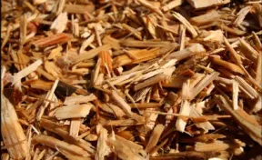 Engineered Wood Fiber Mulch Playground Safety Surfacing
