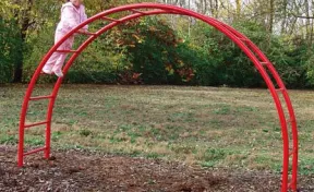 Half Moon Ladder Climber