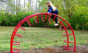 Half Moon Rung Climber