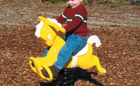 Pony Spring Rider