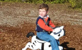 Zebra Spring Rider