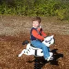 Zebra Spring Rider thumbnail 1
