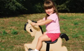 Bronco Spring Rider