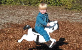 Mustang Spring Rider