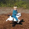 Mustang Spring Rider thumbnail 1