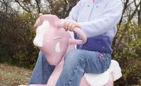 Pink Pony Spring Bouncer