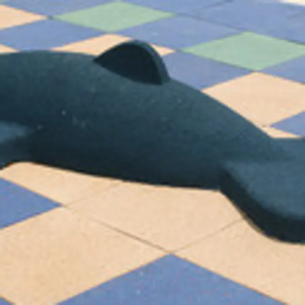 Dolphin Play Climber