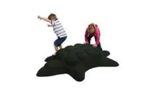Turtle Play Climber