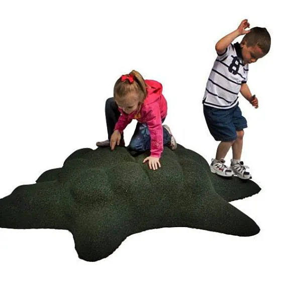 Turtle Play Climber