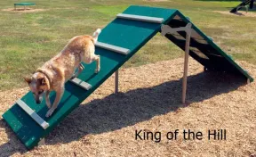 BarkPark™ King of the Hill