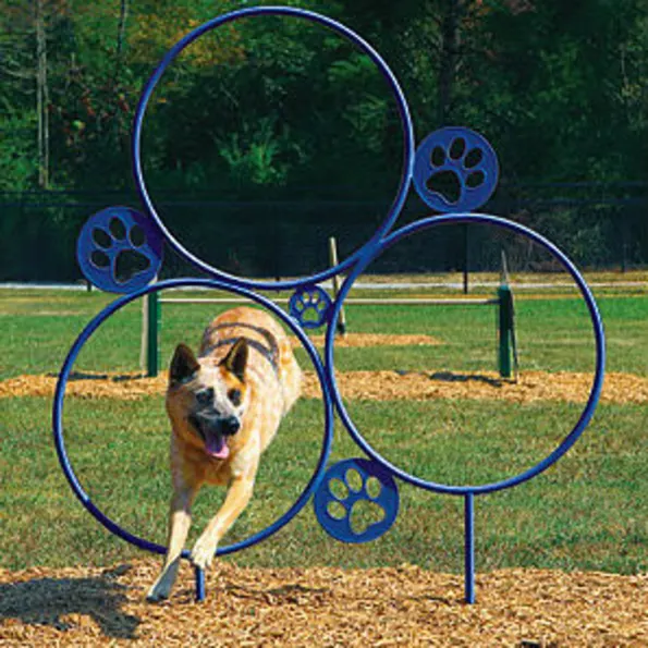 BarkPark™ Hoop Jump