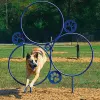 BarkPark™ Hoop Jump thumbnail 3