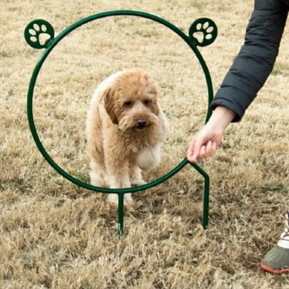 BarkPark™ Hoop Jump