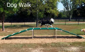 BarkPark™ Dog Walk