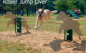BarkPark™ Rover Jump Over