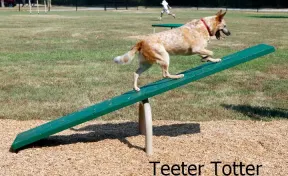 BarkPark™ Teeter Totter