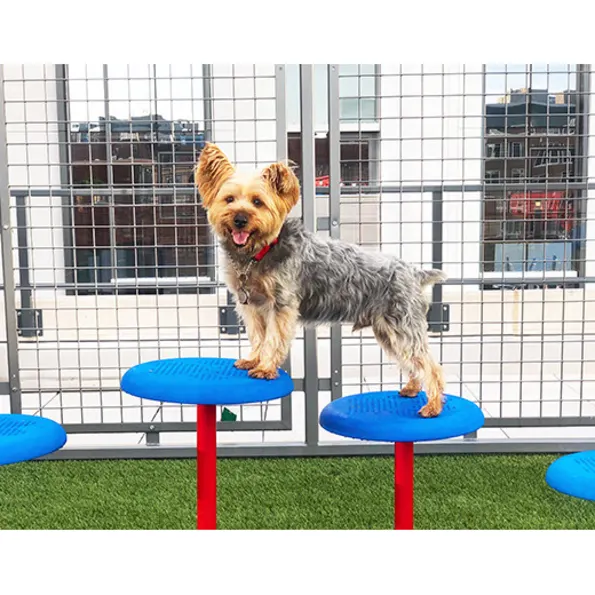 BarkPark™ Stepping Paws