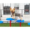 BarkPark™ Stepping Paws thumbnail 6