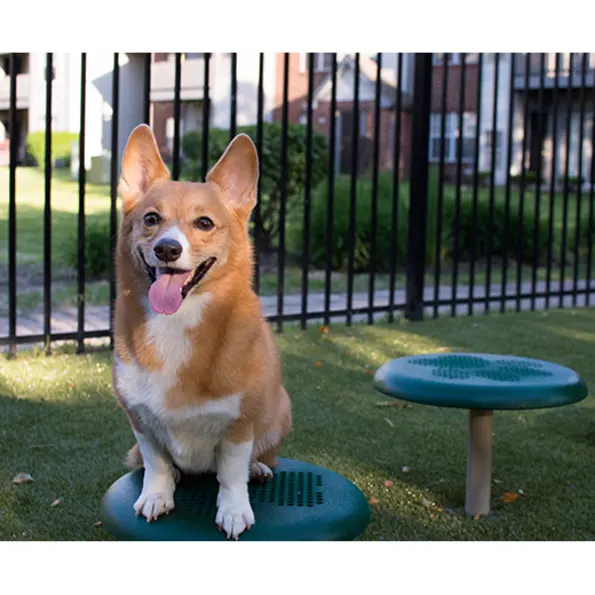 BarkPark™ Stepping Paws