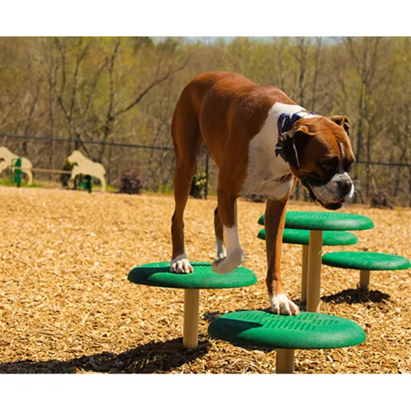 BarkPark™ Stepping Paws