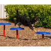 BarkPark™ Stepping Paws thumbnail 9