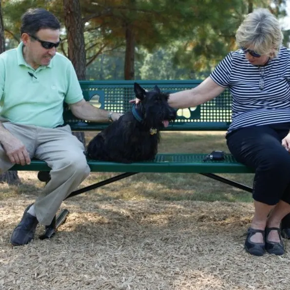 BarkPark™ Sit and Stay Bench