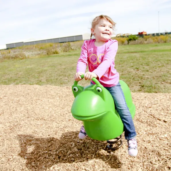 Filbert Frog Spring Rider
