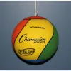 Tether Ball Only thumbnail 1