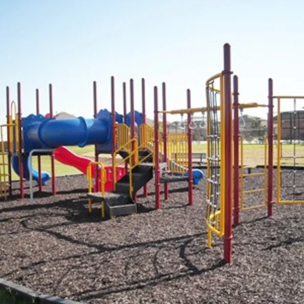 Wayne Play Structure