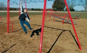 Swing Bars