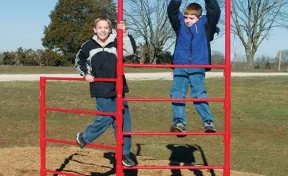 Stall Bar Fence