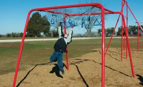 Chain Ring Ladder
