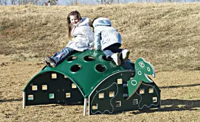 Early Years Turtle Climber