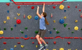 Indoor Safari Monkey Bars