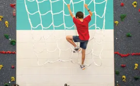 Indoor Safari Wild Web Climber