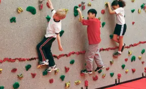 8' School Climbing Traverse Wall