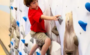 8' School Climbing Mural Wall