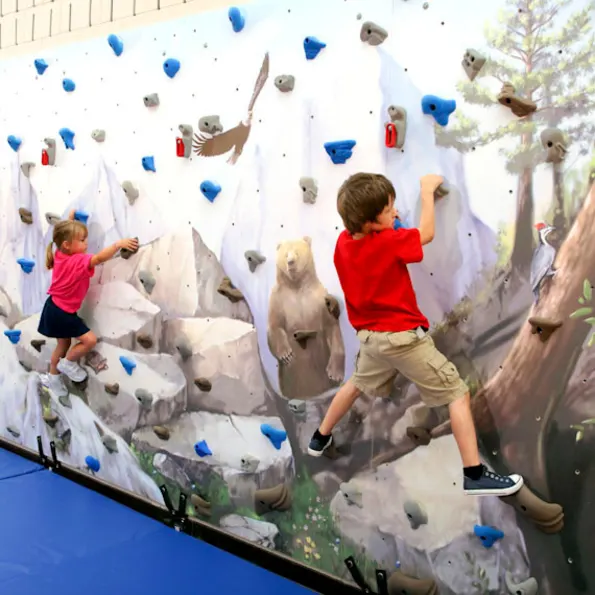 8' School Climbing Mural Wall