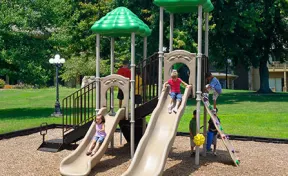 Bighorn Play Structure