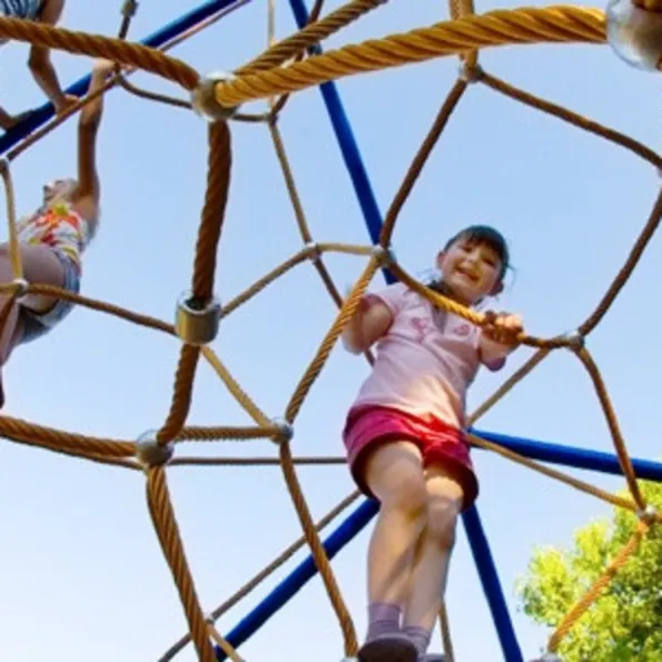 Genesis Medium Climber