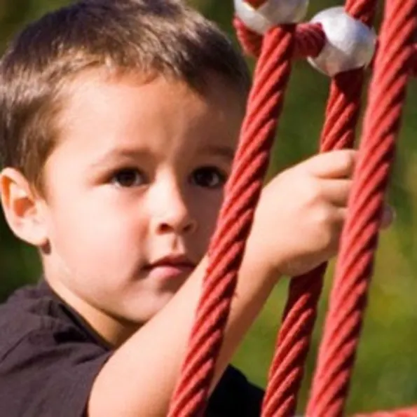 Fourtress Climber Large