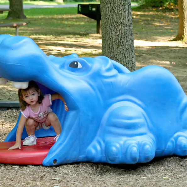 Harry the Hippo Climber