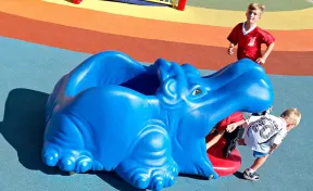 Harry the Hippo Climber