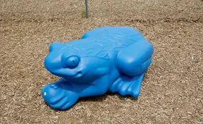 Frog Sculpture Climber
