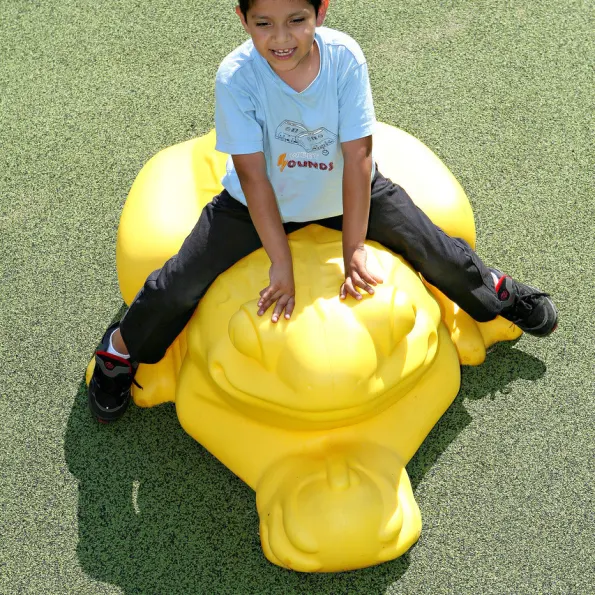 Frog Sculpture Climber