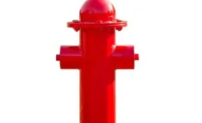 BarkPark™ Dog Park Fire Hydrant