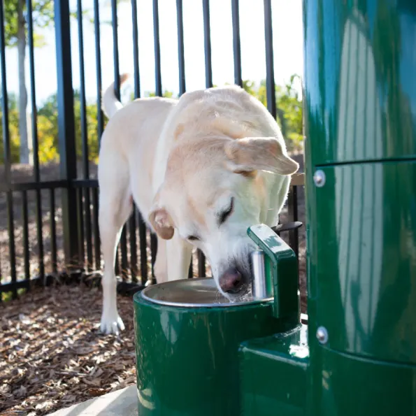BarkPark™ Accessible "Me" & Fido Fountain
