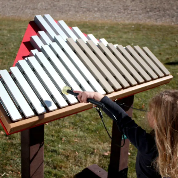 Duet Outdoor Instrument